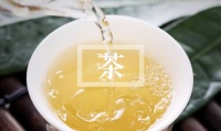 2024湖南安化华莱健黑茶销售模式