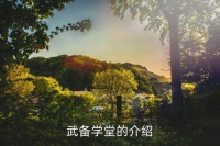 北洋速成武备学堂,中国近代史上首所正规陆军军校诞生