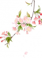 【家庭健康促进】宝山区：婚育新风送百姓 健康生活进万家