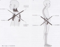 每天10分钟 一个动作就能改善体态、缓解肩颈痛