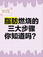 脂肪燃烧的三大步骤，你知道吗