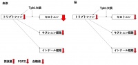 セロトニン産生酵素Tph1は必須アミノ酸のトリプトファンと血糖値を制御する─糖尿病や肥満を予防・治療する健康食品開発や創薬に期待─｜お知らせ｜東北大学大学院理学研究科・理学部