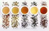 适合白领瘦身的花茶