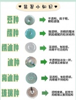 四款超有效减脂茶，轻松瘦身不伤身