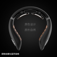 理疗养生仪器,健康养生理疗仪器保健器械