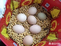 鸡蛋怎么保鲜？