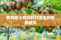 鹌鹑吃小鸡饲料对蛋生的影响研究