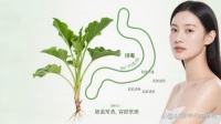 肠道健康，肌肤透亮——大黄的美容新主张
