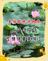荷叶灰减重秘籍，轻松瘦身