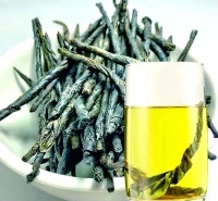 解读苦丁茶：历史、健康与传说的完美结合