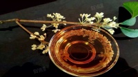 桂花酒的毒性有多强