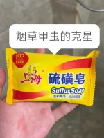 一周营养早餐计划，让孩子长高又健康️