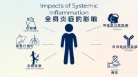 糖、麸质、植物油……这些日常食物竟是炎症的“帮凶”！