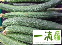 黄瓜的做法 简单易学的黄瓜做法