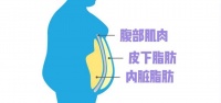 减肚腩有效的5个方法，坚持2个月，有意想不到的效果