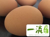 养生食谱 春节家宴必备的健康食谱