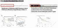起猛了！现在 AI 都能帮我做生信预后分析了？