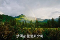 炒饼热量，炒饼热量是多少呢