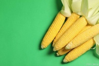 用玉米代替主食，究竟是瘦身神器还是长胖陷阱？