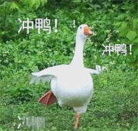 高考冲刺必备：健康生活指南