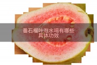 番石榴叶泡水喝有哪些具体功效
