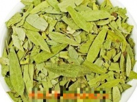 番泻叶的药用价值与功效