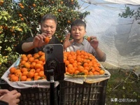 焕新生活 换个方式卖年货