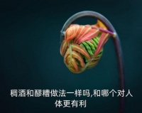 稠酒,不像酒胜似酒稠酒是不是酒?