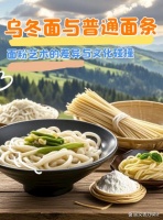 乌冬面与普通面条：面粉艺术的差异与文化碰撞