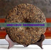 减肥喝什么茶叶好？有助于快速瘦身的茶饮指南