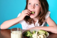 健康的胃肠道，健康的生活：消化系统的关键角色