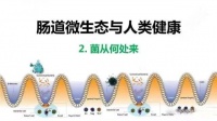 论益生菌对健康的重要性