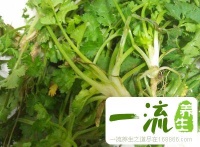 火锅底料配方 自制底料鲜美又健康