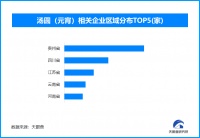 新经济观察