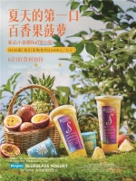 Blueglass首创小蛮腰短链脂肪酸（Scafs）酸奶，第15版全新加入1000mg黄金VC百香果菠萝含酸奶饮