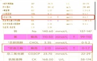 从193斤到173斤：我的瘦身秘诀与健康提升