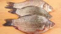 跳绳减肥的最佳时间是上午还是下午？建议选择这个时间段跳绳