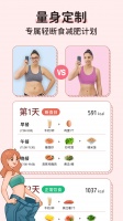 番茄闪轻电脑版