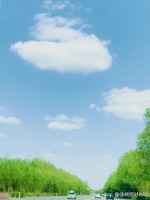 池州一日游攻略｜闯入仙侠世界的绿野秘境