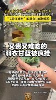 “又贵又难吃”的蔬菜却被喜茶等品牌疯抢 专家揭露：网红超模水是对健康焦虑的精准收割