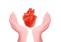 世界心脏日｜送你一份保护心脏健康的饮食、补剂与生活习惯清单