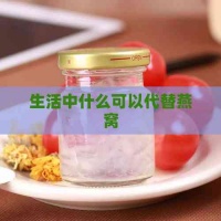 生活中什么可以代替燕窝