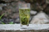 碧螺春适合什么季节喝