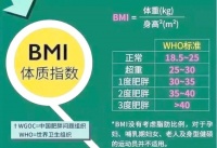 管理卡路里和膳食平衡，开启健康生活