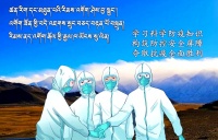 全民健康指南：科学防疫与生活方式优化