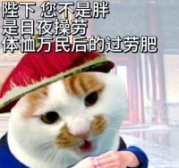 过劳肥的成因与对策：健康生活的新选择