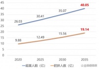 11年后世界肥胖人口將超19億！綠瘦：體重管理領(lǐng)域步入發(fā)展快車道