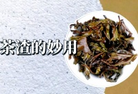 茶渣妙用指南：让生活更舒适优美