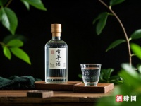 茶叶质量与健康效益的关联性研究