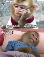 虐腹瑜伽日，紧致腹部线条！♀️
